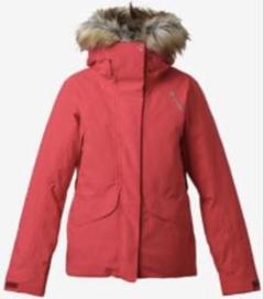 GOLDWIN GORE-TEX 定価15万円国内限定5着モデルスキーウェア