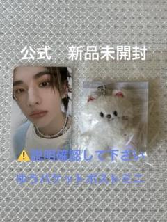 新品未開封　SKZOO OUTFITヒョンジン Skzoo Outfit | eBay