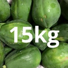 徳之島産青パパイヤ8.5kg 徳之島産。青パパイヤ✨ - メルカリ