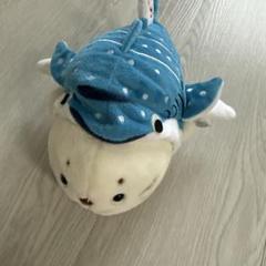 沖縄限定 美ら海水族館 しろたん　ジンベエジェット　ぬいぐるみ　JTA