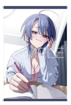 駿河屋 - 【買取】[単品] 早乙女志乃 B2Wスエードタペストリー