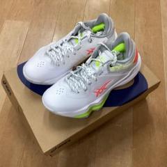 本日、最終大幅値下げ‼️asics NOVASURGE LOW 27cm NOVA SURGE LOW | WHITE/BLACK | メンズ バスケットボール