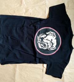 CALEE キャリー Tシャツ ビンテージ 初期 新古品