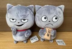 わるめのねこ　でっかいぬいぐるみ〜わるめこねこ〜　2種セット Amazon.co.jp: にしむらゆうじ作品 でっかいぬいぐるみ ～わるめ