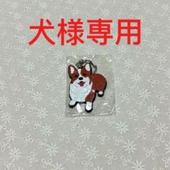 【非売品】ヨルシカ コーギー アクリルキーホルダー Amazon.co.jp: ヨルシカ キーホルダー6点セット コスプレ小物