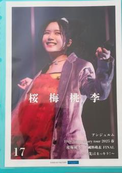 アンジュルム 桜梅桃李 お先はまっキラ！ ピンポス 17 下井谷幸穂