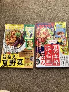レタスクラブ 夏野菜レシピと献立カレンダーセット　7月号　8月号