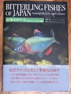 日本のタナゴ