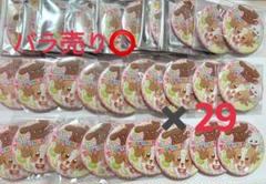 犬飼こむぎ トゥインクル缶バッジ 12Jump! 缶バッジ プリキュア トゥインクル 缶バッジ 12 jump 犬飼こむぎ キュア