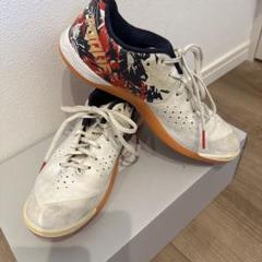 asicsアシックス　25cm 室内ばき　フットサル