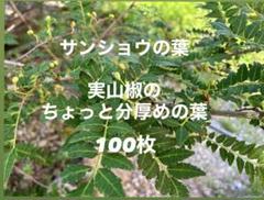 庭の花山椒120グラム　無農薬　本日発送　メルカリ便 庭の花山椒 120グラム 無農薬。本日発送 メルカリ便 - メルカリ