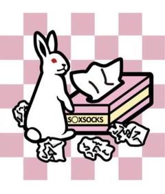 #FR2 SOXSOCKS コラボ Tシャツ Lサイズ ブラック fr2