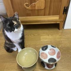 ふくろうさま専用　出品ぺージ ★のん窯　フードボウル　小size ２個セット ふくろうさま専用 出品ぺージ ☆のん窯 フードボウル 小size 2