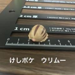 けしポケ　ロトム　ウォッシュ フロスト フィギュア　keshipoke 2025年最新】けしポケの人気アイテム - メルカリ