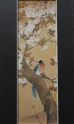 河鍋暁翠、【八重桜と鳥】、希少画集画より、状態良好、新品高級額装付 河鍋暁翠、【八重桜と鳥】、希少画集画より、状態良好、新品高級
