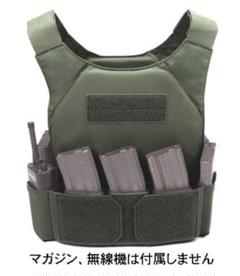 実物 WARRIOR ASSAULT SYSTEMS WAS Mk1 プレキャリ Warrior Assault Systems Low Profile Plate Carrier V1 MK1