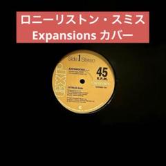 Citrus Sun - Expansions 12インチ