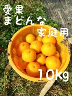 2025年最新】紅まどんなの人気アイテム - メルカリ