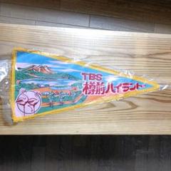 昭和レトロペナント TBS樽前ハイランド