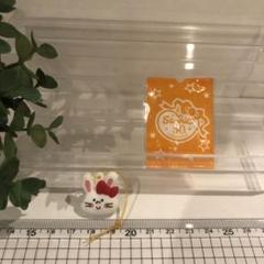 希少、レア　Bunny＆Matty サンリオ 50周年記念 マスコット　1点