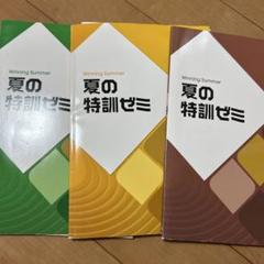 2025年最新】ウイニングサマーの人気アイテム - メルカリ