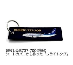 ANA aviationtag B737-700 レアな両面コンビ色 ANA aviationtag B737-700 レアな両面コンビ色