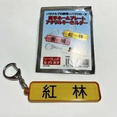 パワプロ　オリックス　キーホルダー　特殊能力　まとめ売り 紅林 オリックスバファローズ パワプロ 選手ネームプレート