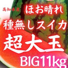 1高知県産 種無し ほお晴れスイカ 超大玉 約11kg 西瓜 高級 スイカ 6高知県産 種無し ほお晴れスイカ 超大玉 約11kg 西瓜 高級