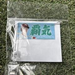 楽天イーグルス中島大輔フラッグ