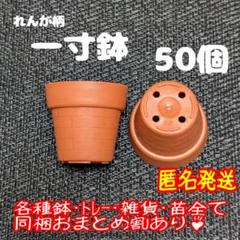 大鉢1 LIFELEX テラコッタ風大型鉢: ガーデニング・農業資材