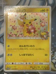 ピカチュウ　ポケモンセンター20周年記念キャンペーン 224/SM-P