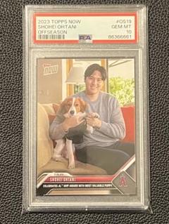 2025年最新】大谷 犬 カードの人気アイテム - メルカリ