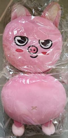 2024年最新】クッション skzooの人気アイテム - メルカリ