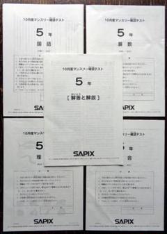 2025年最新】サピックス 5年 マンスリー確認テストの人気