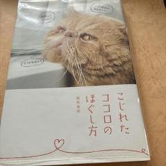こじれたココロのほぐし方 根本裕幸著
