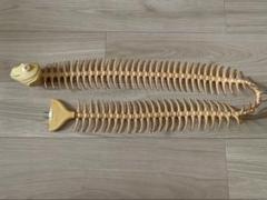 激レア 明和電機 魚コード ナコード アンティーク - メルカリ