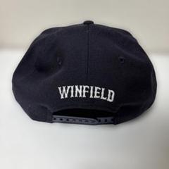 WINFIELD 廃盤「D.R.Y.？」新品・未開封　岩井望　ウィンフィールド 2025年最新】winfieldの人気アイテム - メルカリ