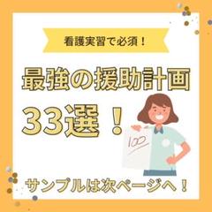 【メルカリ限定】2025 看護実習対策｜援助計画33選｜USBデータ付き！！ メルカリ限定】2025 看護実習対策｜援助計画33選｜USBデータ付き