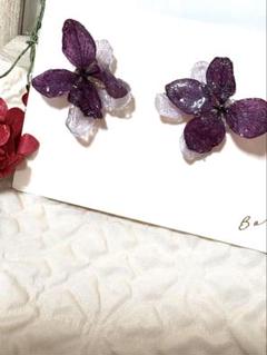 紫陽花ピアス4