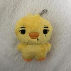 ENHYPENニキ　ぬいぐるみ　ひよこ　ひよこぬいぐるみ ニキ ENHYPEN ひよこ ぬいぐるみ - メルカリ