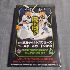 BBM 2019 東京ヤクルトスワローズカード　新品未開封BOX BBM 東京ヤクルトスワローズ ベースボールカード 2019 未開封BOX