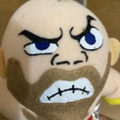 ストリートファイター２ ストⅡ　ぬいぐるみ　非売品　レア　20個 セット 2025年最新】ストリートファイター2ぬいぐるみの人気アイテム
