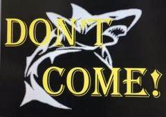 【超特価 24時まで】DON'T COME!サーフィンカスタム、在住