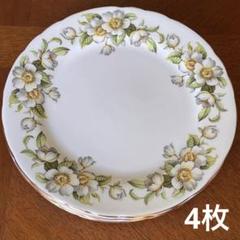 アンティーク　エインズレイ　英国イギリス ガーランドとカメオの美しいプレート1枚 Aynsley China - アンティーク エインズレイ ガーランドとカメオ