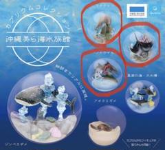 [新品、未開封品] 沖縄 美ら海水族館 カプリウムコレクション 61jgt-nU-pL._UF350,350_QL50_.jpg