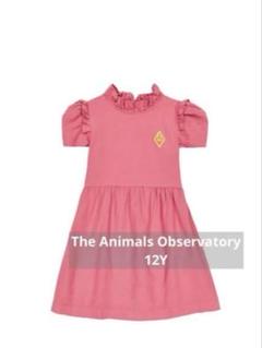 The animals observatory 10 Y - メルカリ