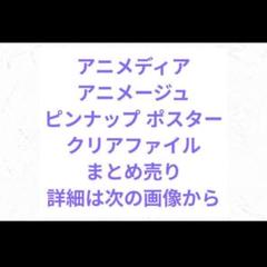 【即決価格】アニメディア アニメージュ ピンナップ ポスター クリアファイル
