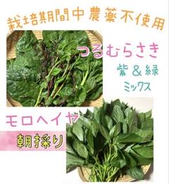新鮮つるむらさき 14キロ 新鮮 つるむらさき 14キロ（2025年最新】つるむらさき 野菜の