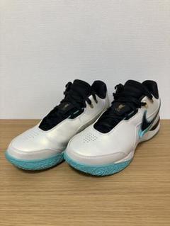 2025年最新】lebron nikeの人気アイテム - メルカリ