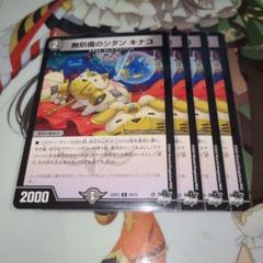 NO.981 無防備のシダン キナコ